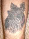 my dog Duncan tattoo