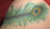 peacock feather left side tattoo