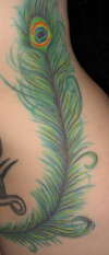 peacock feather right side tattoo