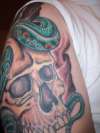 skull and snake finished 1 tattoo