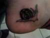 snail tattoo