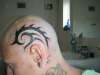 tribal on side of my head tattoo