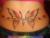 BUTTERFLY EYES tattoo