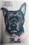 Dog tattoo