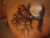 Family Tree tattoo