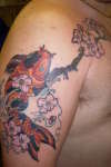 Koi tattoo