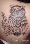 owl tattoo