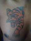 Tiger tat tattoo