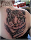 Tiger tattoo