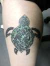 Turtle finished tattoo