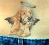 Doggy Angel tattoo