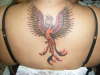 phoenix tattoo