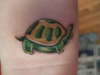 turtle tattoo