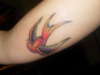 Bird tattoo