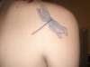 Dragonfly tattoo