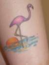 Flamingo tattoo
