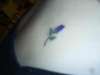For Nan, RIP. tattoo