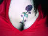 Rose tattoo