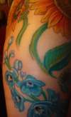 Start of my floral sleeve-delphinium tattoo