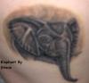 Elephant done by Shane tattoo