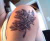 The Leaf tattoo