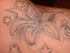 lilly and stars closer tattoo