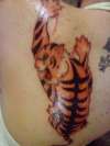 the tiger tattoo