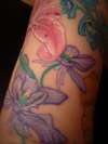 Start of my floral sleeve-columbine tattoo