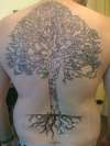 Tree of Life tattoo