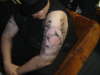 clownin tattoo