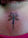 cute dragonfly tattoo