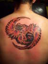 fire bird tattoo