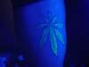 leaf tattoo