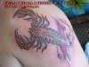 scorpion tattoo