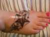 zebra stars tattoo