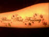 Chase That Feeling tattoo