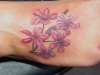 Cherry Blossoms tattoo