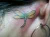 Dragonfly tattoo