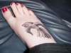 Fantail on Foot tattoo