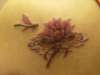 Lotus & Dragonfly tattoo
