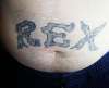 Rex tattoo