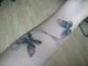 butterfly and dragon fly wrapping around my lower arm tattoo