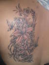 lilys and butterfly tatt tattoo