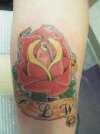 rose tattoo