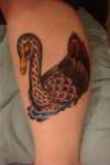 swan tattoo