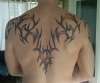 Back tattoo