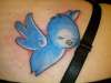 Blue Bird (1st Tat) tattoo