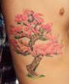 Bonsai again tattoo