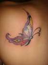 Butterfly Colored tattoo