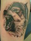 Fierce Wolf tattoo